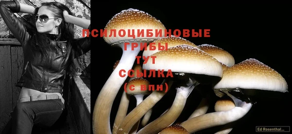 прущий лед Верея