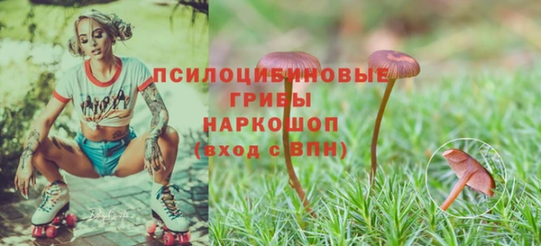 прущий лед Верея
