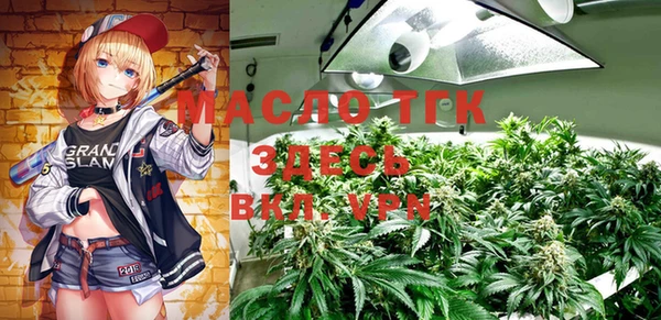 прущий лед Верея