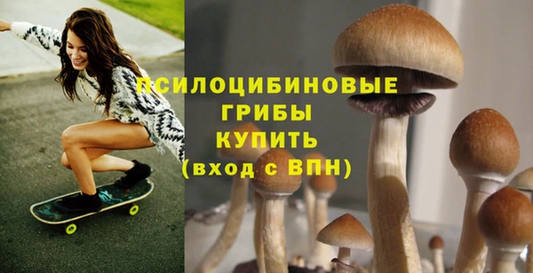 крисы Верхнеуральск
