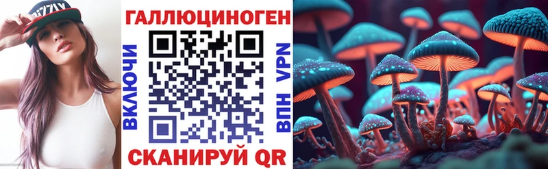 Галлюциногенные грибы Psilocybe  Льгов 